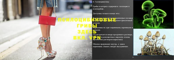 гидропоника Заволжье