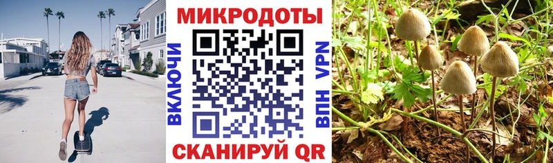 Купить закладки  Мамоново  Галлюциногенные грибы Psilocybine cubensis 