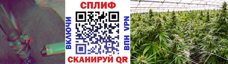 Каннабис MAZAR Мамоново